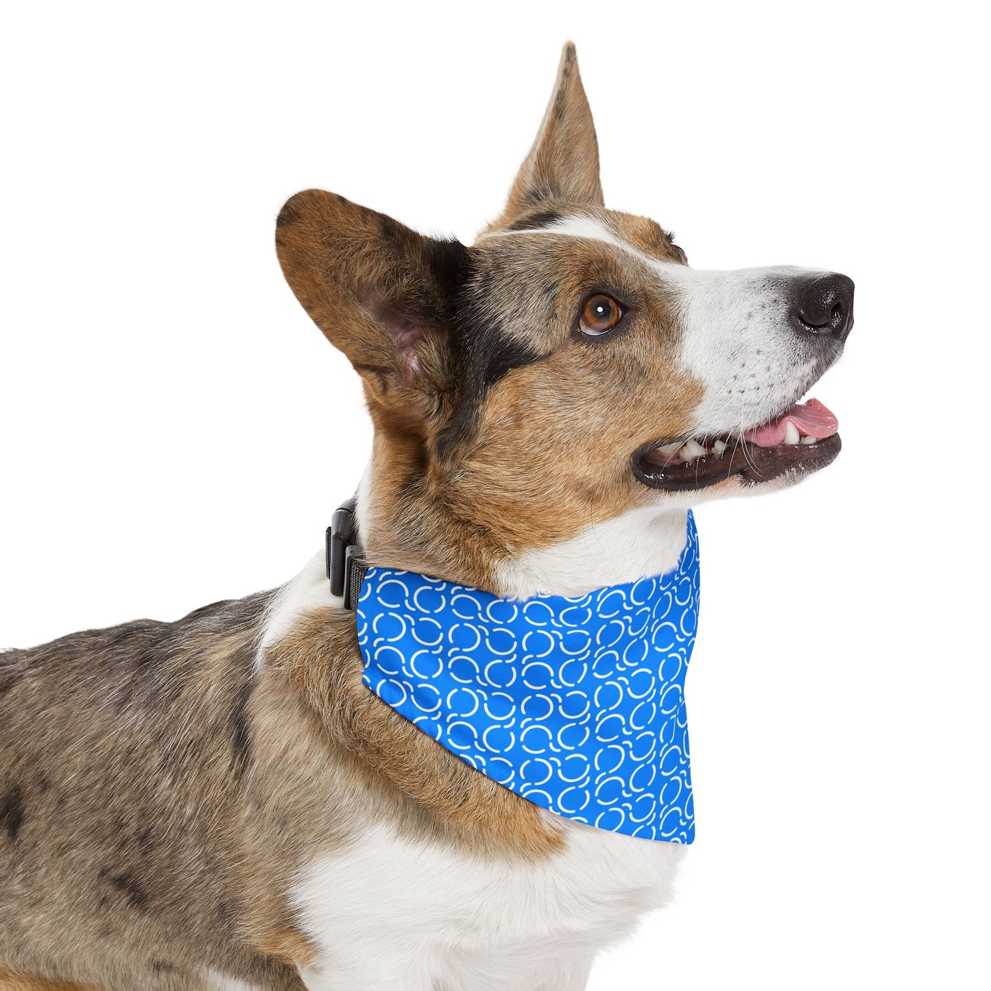 Pet Bandana Pattern Blue