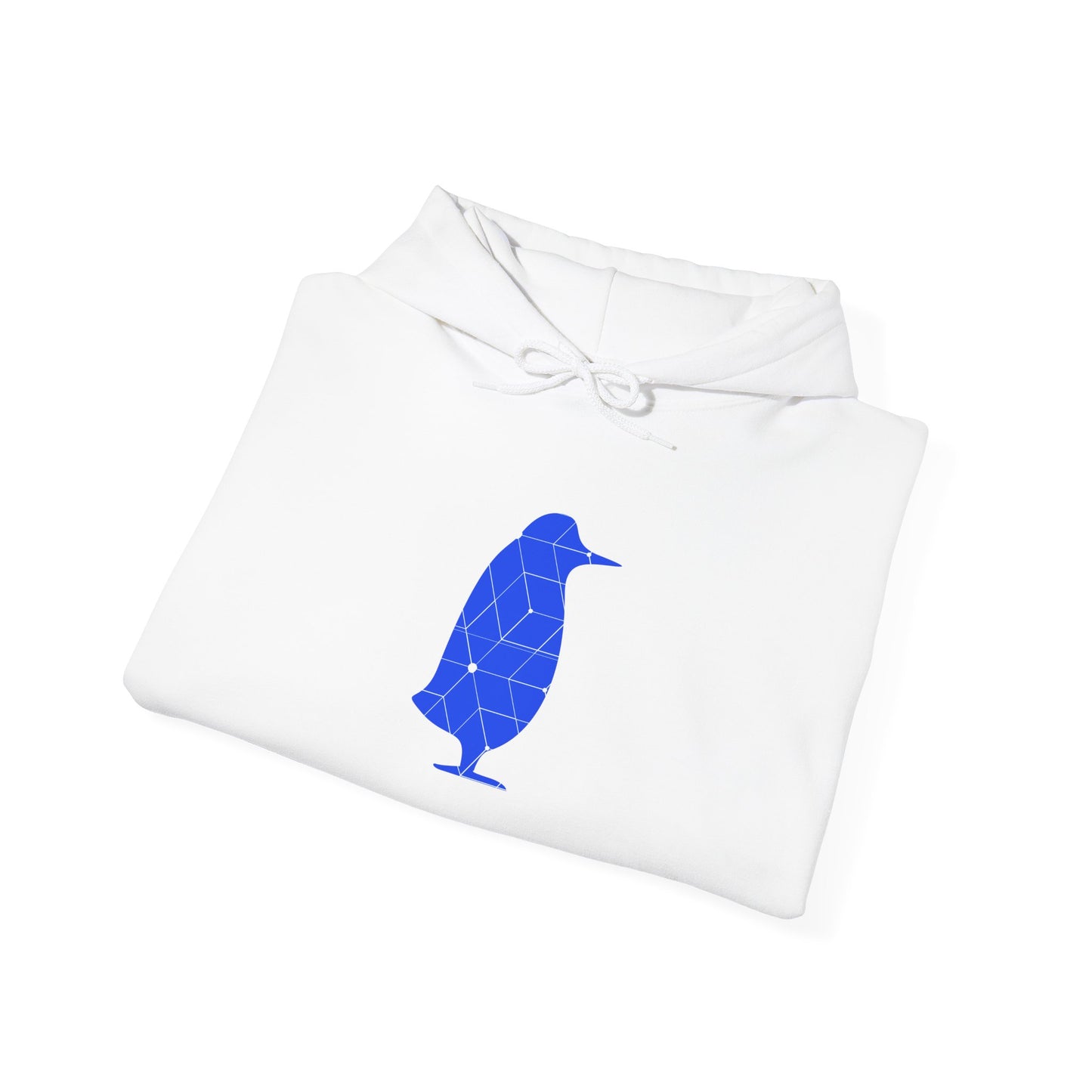 Scholar Program | AESARA Visting Scientist Hoodie