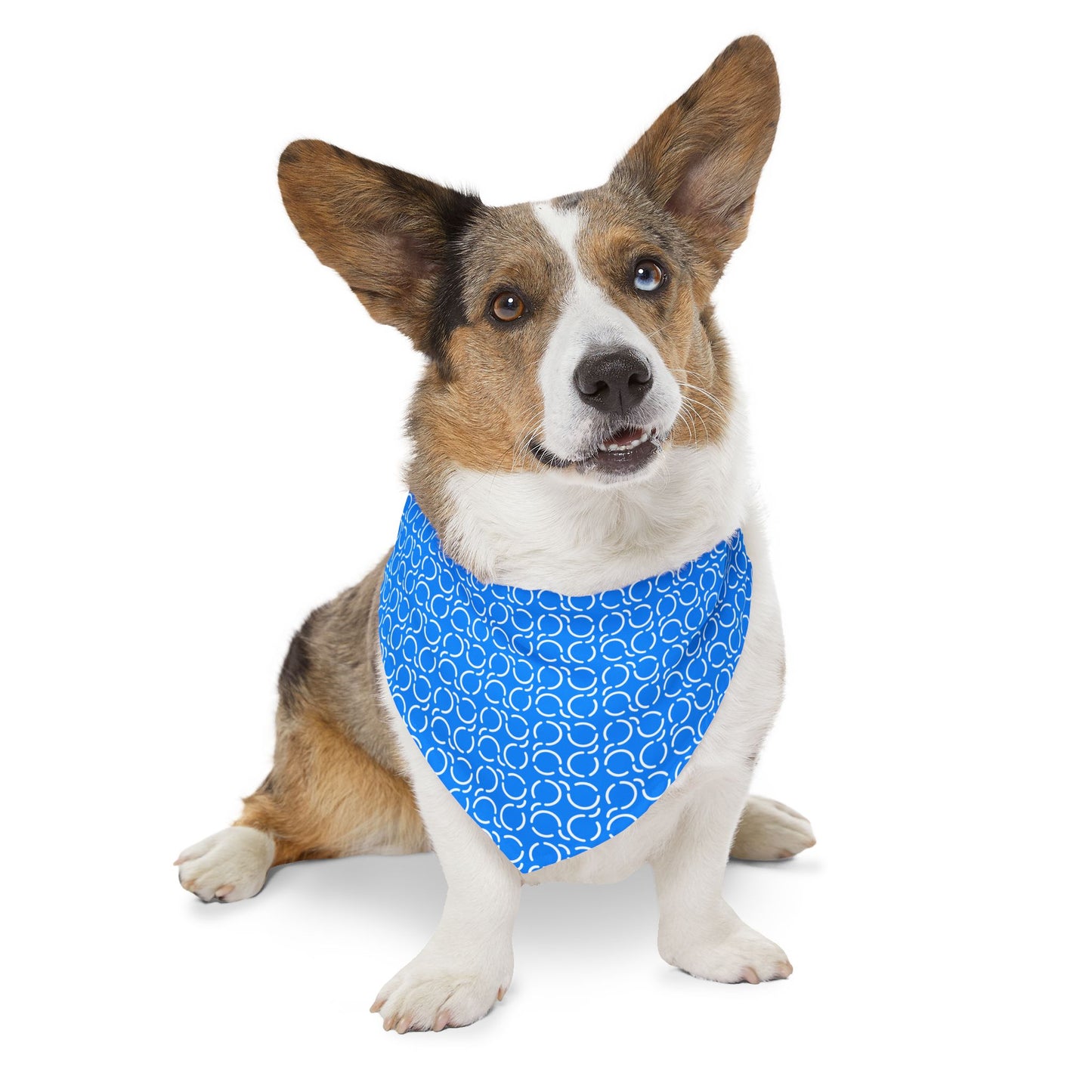 Pet Bandana Pattern Blue