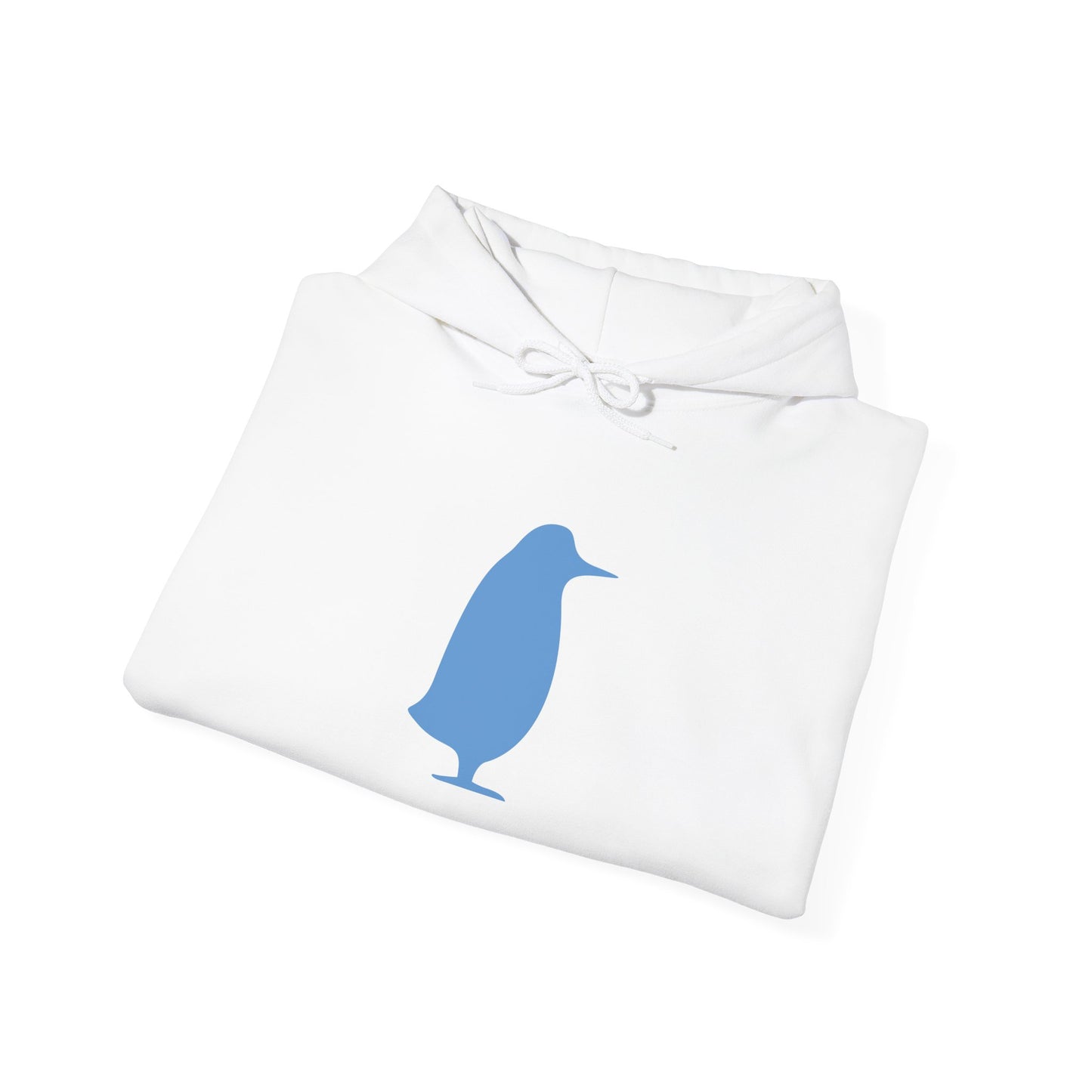 Scholar Program | AESARA UNC Fellowship Hoodie