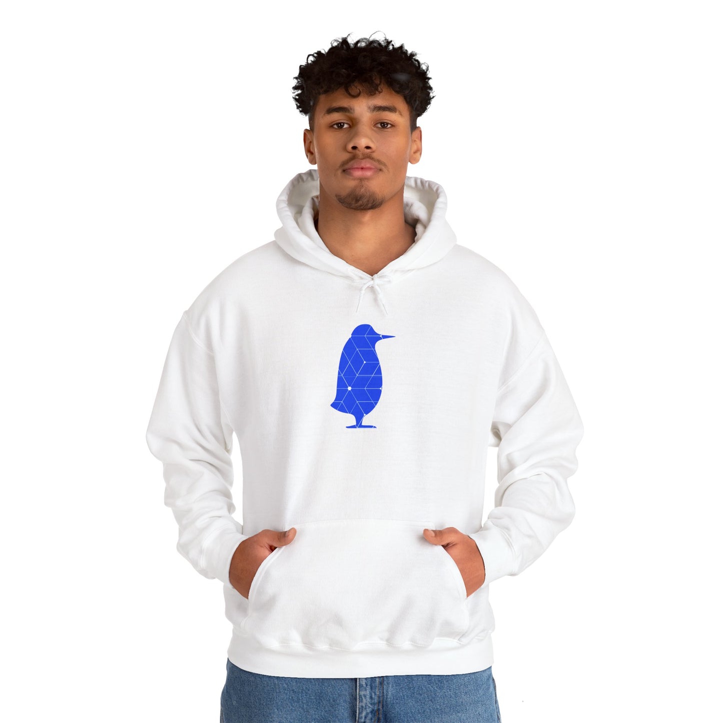 Scholar Program | AESARA Visting Scientist Hoodie