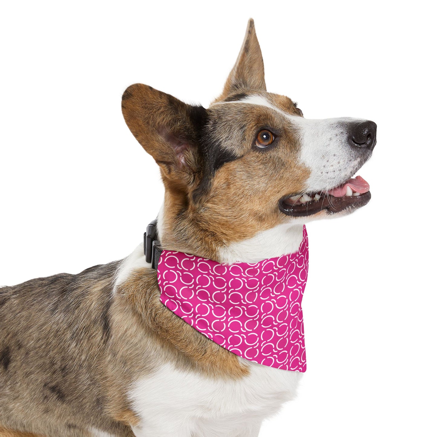 Pet Bandana Pattern Pink Background