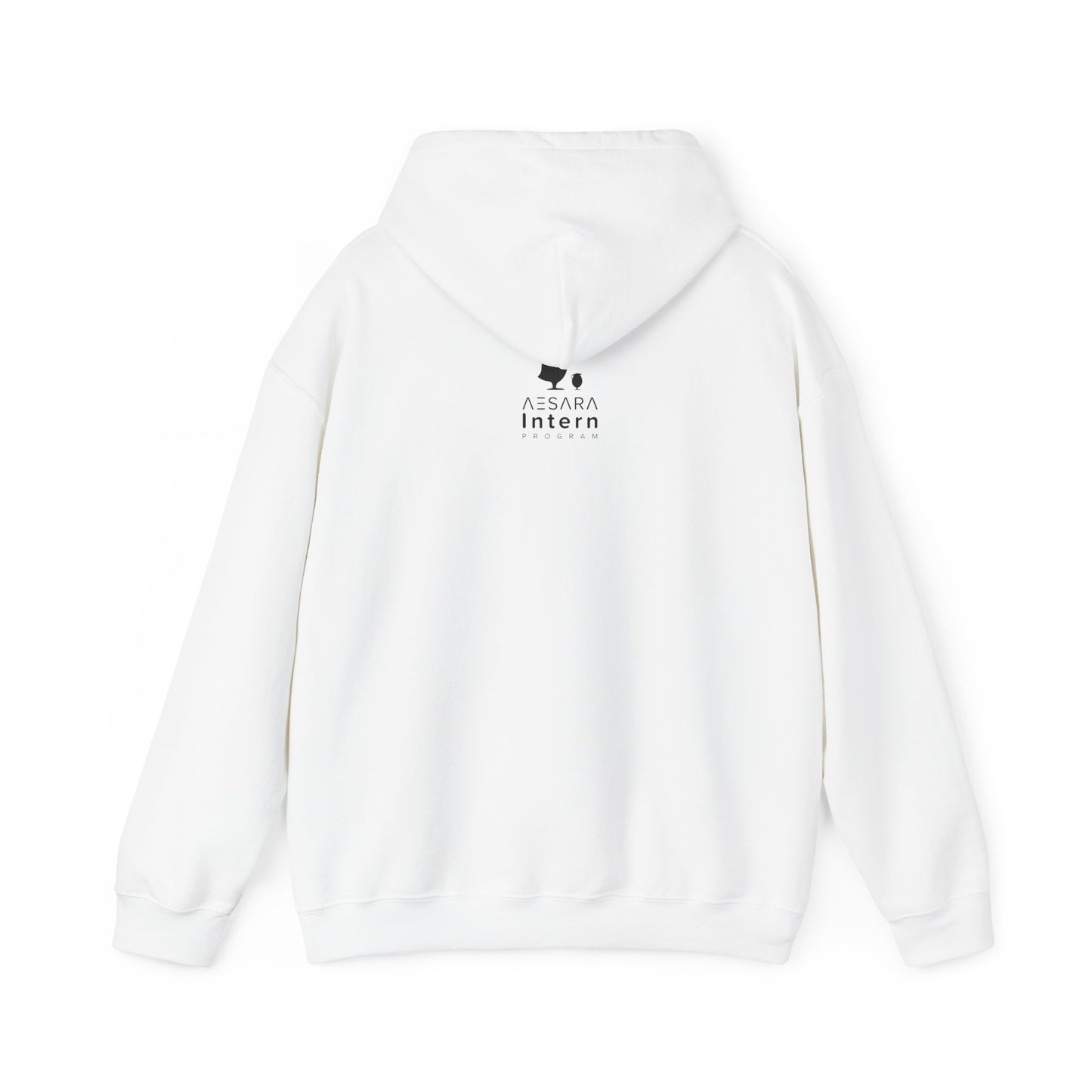 Intern Program | AESARA Student Intern Hoodie