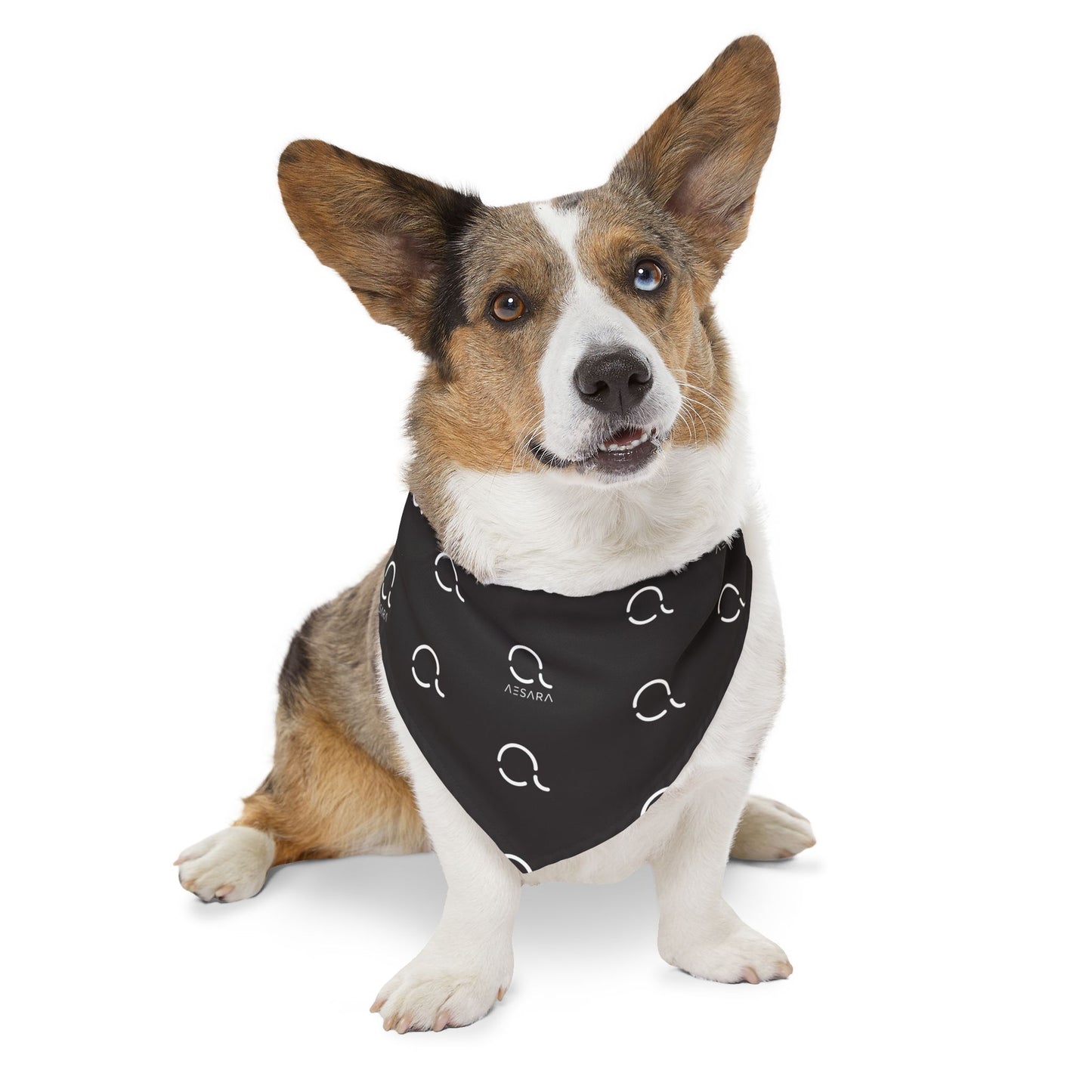 AESARA Symbol Pet Banadana