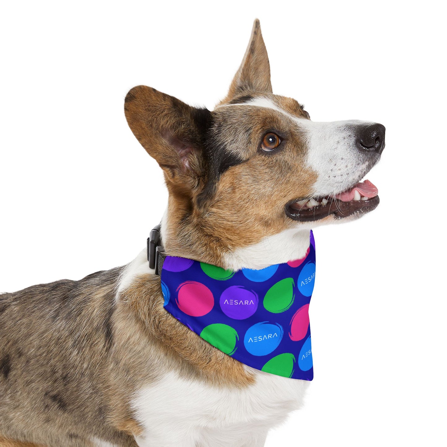 Polka Dot Pet Bandana
