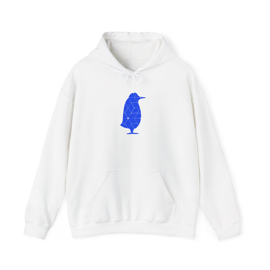 Scholar Program | AESARA Visting Scientist Hoodie